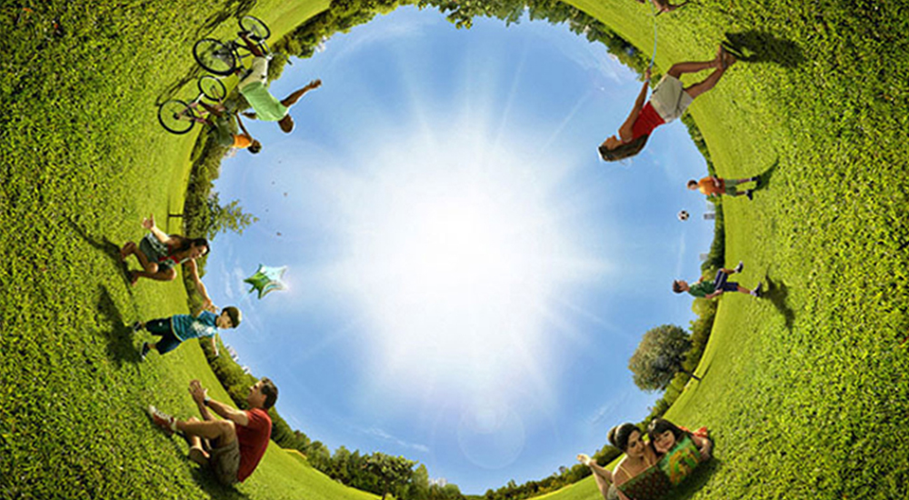 portfolio image